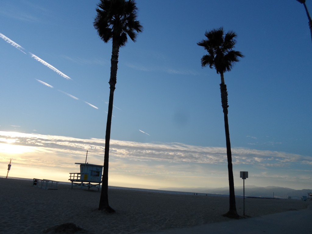 Venice Beach: there are actually canals there