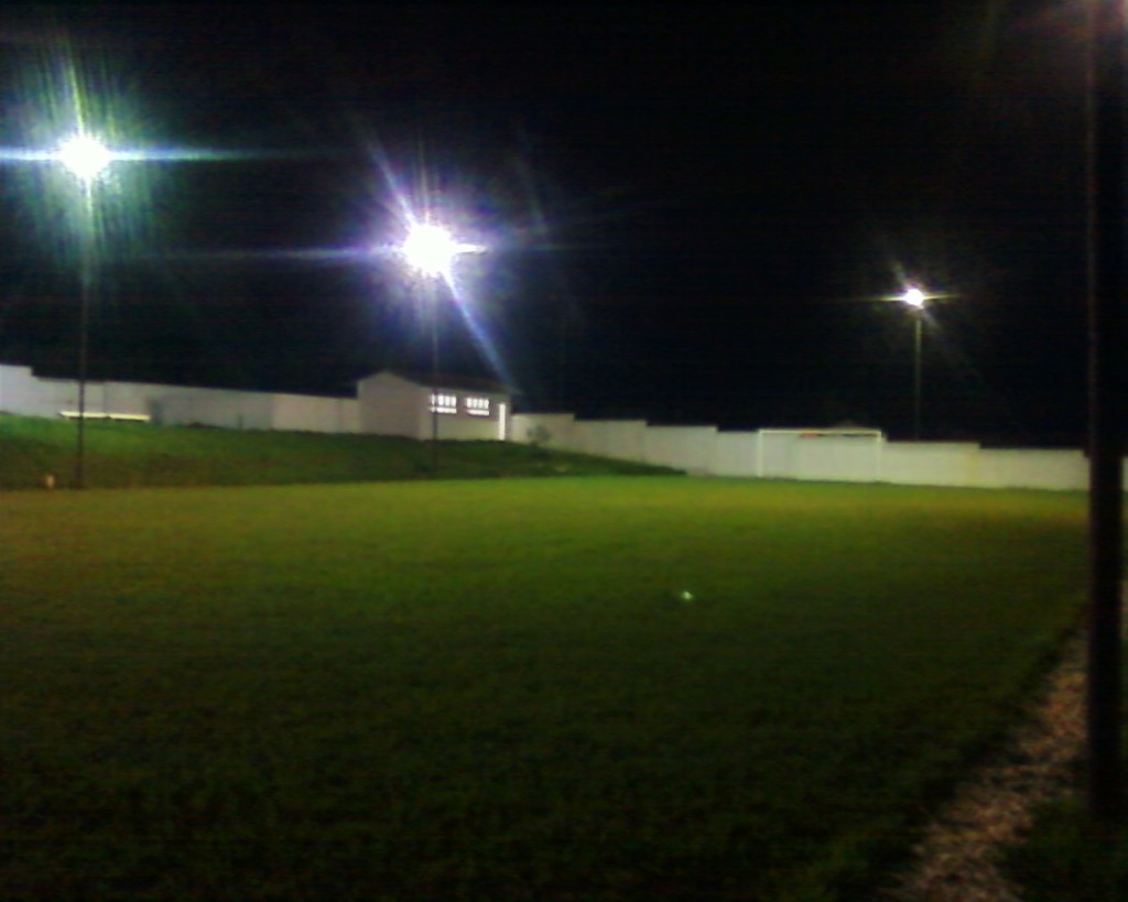 Grass: under the lights.